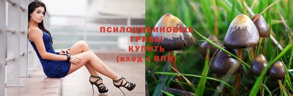 стаф Алексеевка