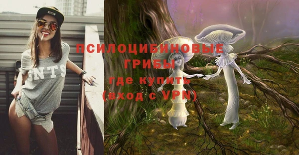 тгк Осташков