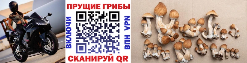 купить наркоту  Феодосия  Галлюциногенные грибы ЛСД 