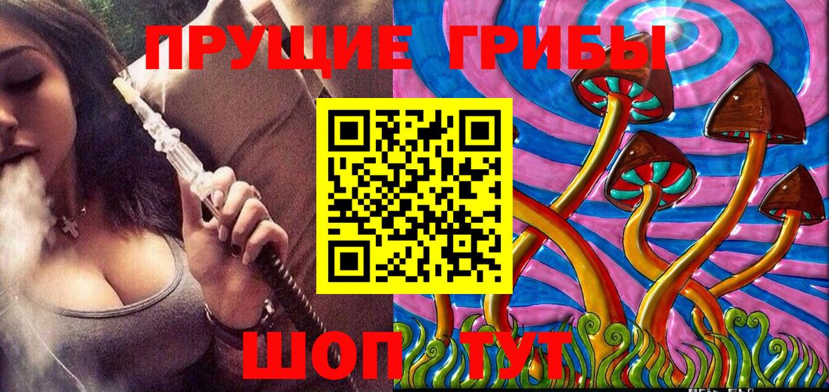 Псилоцибиновые грибы GOLDEN TEACHER  Вход с VPN  Феодосия 