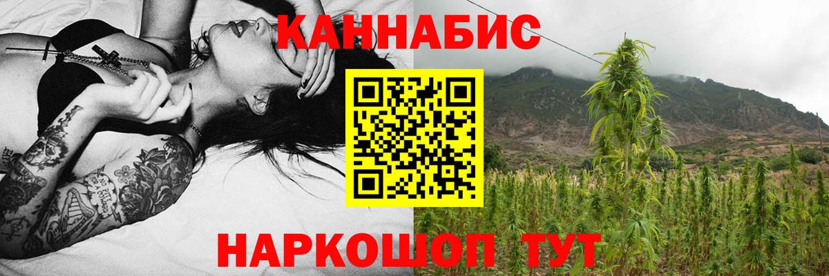 Бошки Шишки планчик Феодосия